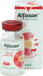 Alfaxan